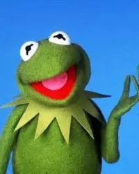 Kermit the Frog Meme
