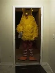Big Bird Door