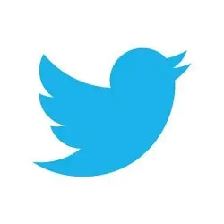 Twitter birds says