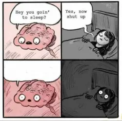 Brain Sleep Meme