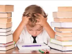 kid homework stress studying