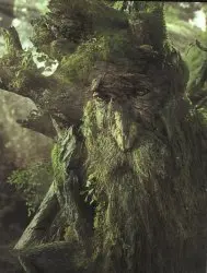 Tree Beard