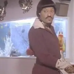 Lawrence Fishburne Ike Turner