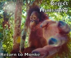 Return to monke