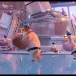 Dancing birds GIF Template