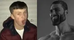 Average Enjoyer meme