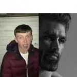 Fan vs enjoyer GIF Template