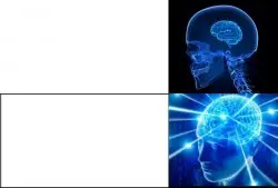 Galaxy Brain (2 brains)