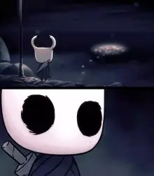 Holy shit (Hollow knight)