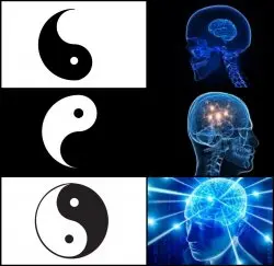Galaxy Brain Yin Yang