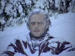 Persian Cat Room Guardian