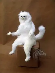 Persian Cat Room Guardian Single Meme Template