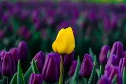 Embrace your outer weirdo