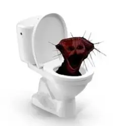 skibidi boiled one