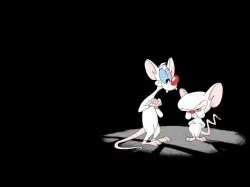 Pinky And The Brain