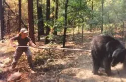 Poking the bear