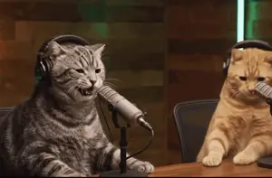 Two Cats Wearing Headphones Are Sitting At A Table With Microphones