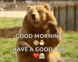 A Brown Bear Is Standing On Its Hind Legs With The Words Good Morning Have A Good Day .