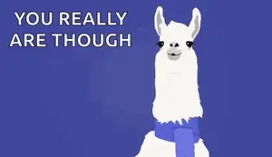 A Llama Wearing Sunglasses And A Scarf With A Speech Bubble That Says " You Really Are Though Deal With It "