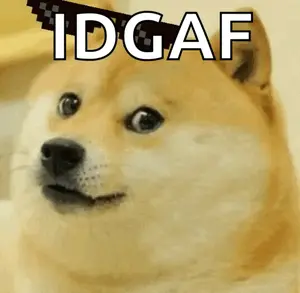 A Doge Wearing Sunglasses And The Word Idgaf On Its Head