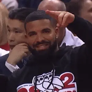 A Man With A Beard Is Wearing A Black Hoodie With An Owl On It