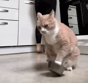 An Orange And White Cat Is Playing With A Brush