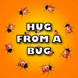A Poster That Says Hug From A Bug With Ladybugs Around A Heart