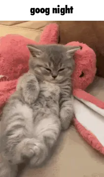 A Kitten Is Laying On Its Back Next To A Stuffed Animal With The Words Goog Night Written Above It