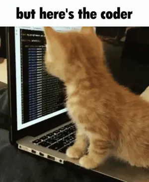 A Kitten Is Looking At A Laptop With The Words But Here 'S The Coder Below It