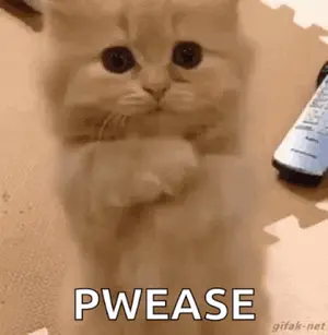 A Kitten Is Standing On Its Hind Legs And Says Pwease .