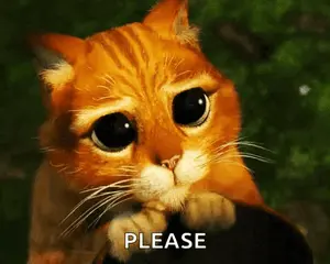A Cat With A Sad Look On Its Face Is Asking For Please