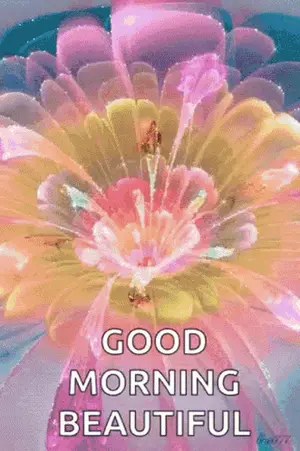 A Picture Of A Flower With The Words Good Morning Beautiful