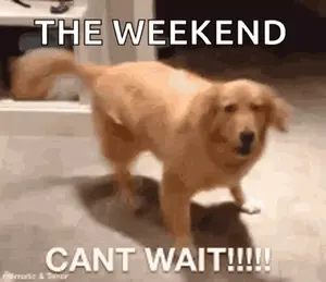 A Dog Is Standing On Its Hind Legs With The Words `` The Weekend Cant Wait !!! '' Written On It .