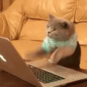 A Cat Is Sitting In Front Of A Laptop Computer On A Couch .