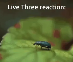 A Bug Is Crawling On A Green Leaf With The Words Live Three Reaction Below It