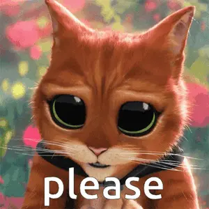 A Cat With Big Eyes Is Asking For A Please