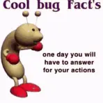 A Picture Of A Bug With Boxing Gloves And The Words Cool Bug Facts One Day You Will Have To Answer For Your Actions .