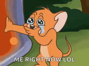 Jerry From Tom And Jerry Crying With The Words Me Right Now Lol