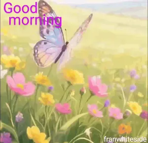 A Butterfly Is Flying Over A Field Of Flowers With The Words Good Morning