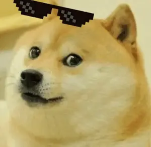 A Dog Wearing A Pair Of Pixelated Sunglasses On Its Head .