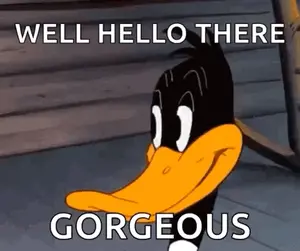 Daffy Duck Is Smiling And Saying `` Well Hello There Gorgeous '' In A Cartoon .