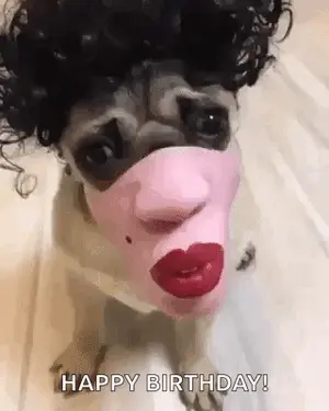 A Dog Wearing A Woman 'S Face Mask With Red Lipstick And A Wig .