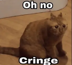 A Cat Is Sitting On The Floor With The Words Oh No Cringe Written Above It