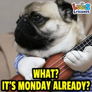 A Pug Dog Is Holding A Guitar With The Words What It 'S Monday Already