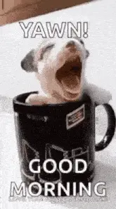 A Dog Is Yawning In A Coffee Mug And Says Good Morning .