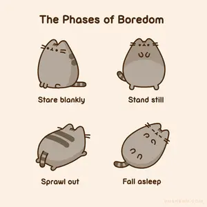 A Cartoon Of A Cat With The Words The Phases Of Boredom