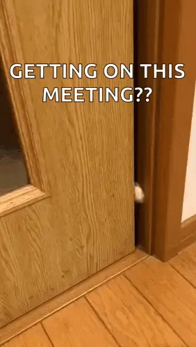 A Cat Peeking Out Of A Wooden Door With The Caption " Getting On This Meeting ?? "