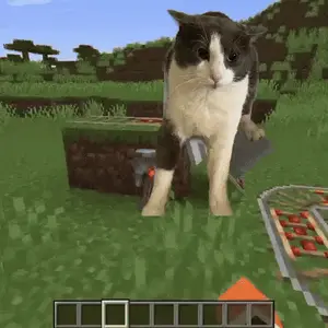 A Black And White Cat Is Standing In A Field In A Video Game .