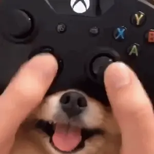 A Close Up Of A Person Holding A Video Game Controller In Front Of A Dog .