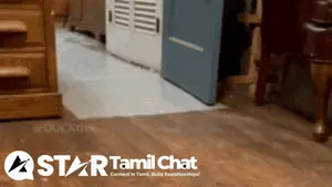 A Star Tamil Chat Logo Is Displayed In Front Of A Wooden Floor